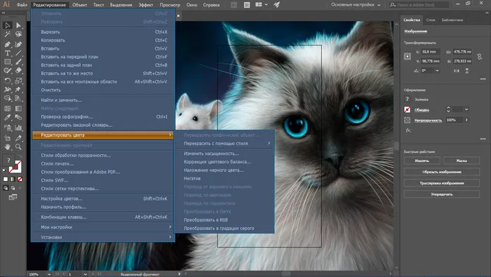 Adobe Illustrator